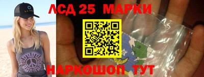 гашик Кингисепп