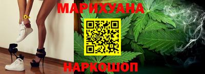 гашик Кингисепп
