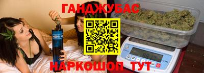 гашик Кингисепп