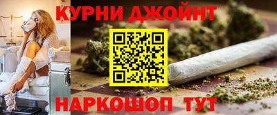гашик Кингисепп