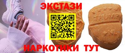 гашик Кингисепп