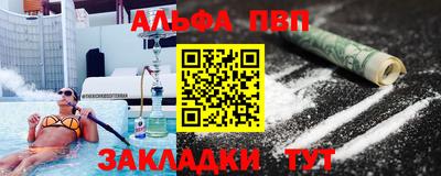 гашик Кингисепп
