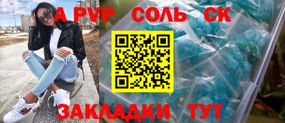 гашик Кингисепп